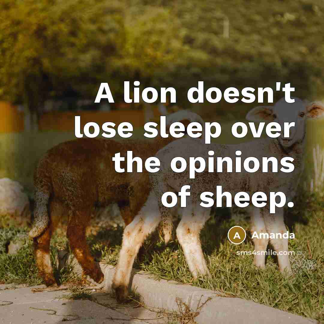 “A lion doesn't lose sleep over the opinions of sheep.” quote by Amanda