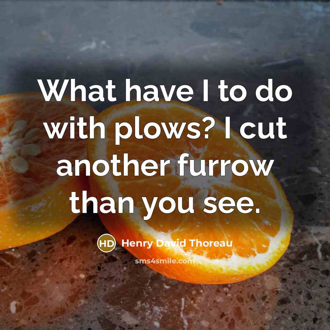 “What have I to do with plows? I cut another furrow than you see.” quote by Henry David Thoreau
