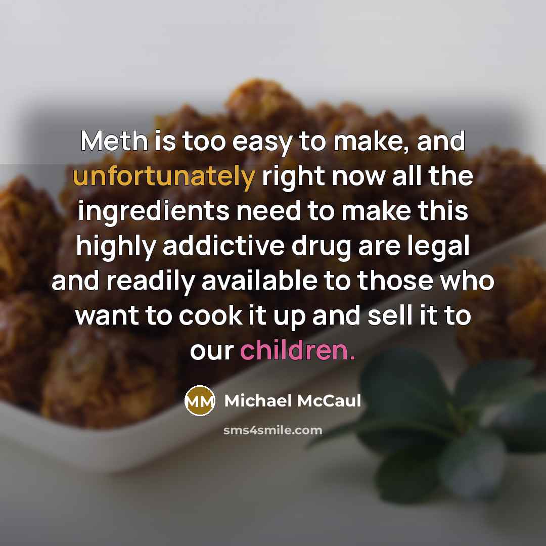 “Meth is too easy to make, and unfortunately right now all the ingredients need to make this highly addictive drug are legal and readily available to those who want to cook it up and sell it to our children.” quote by Michael McCaul