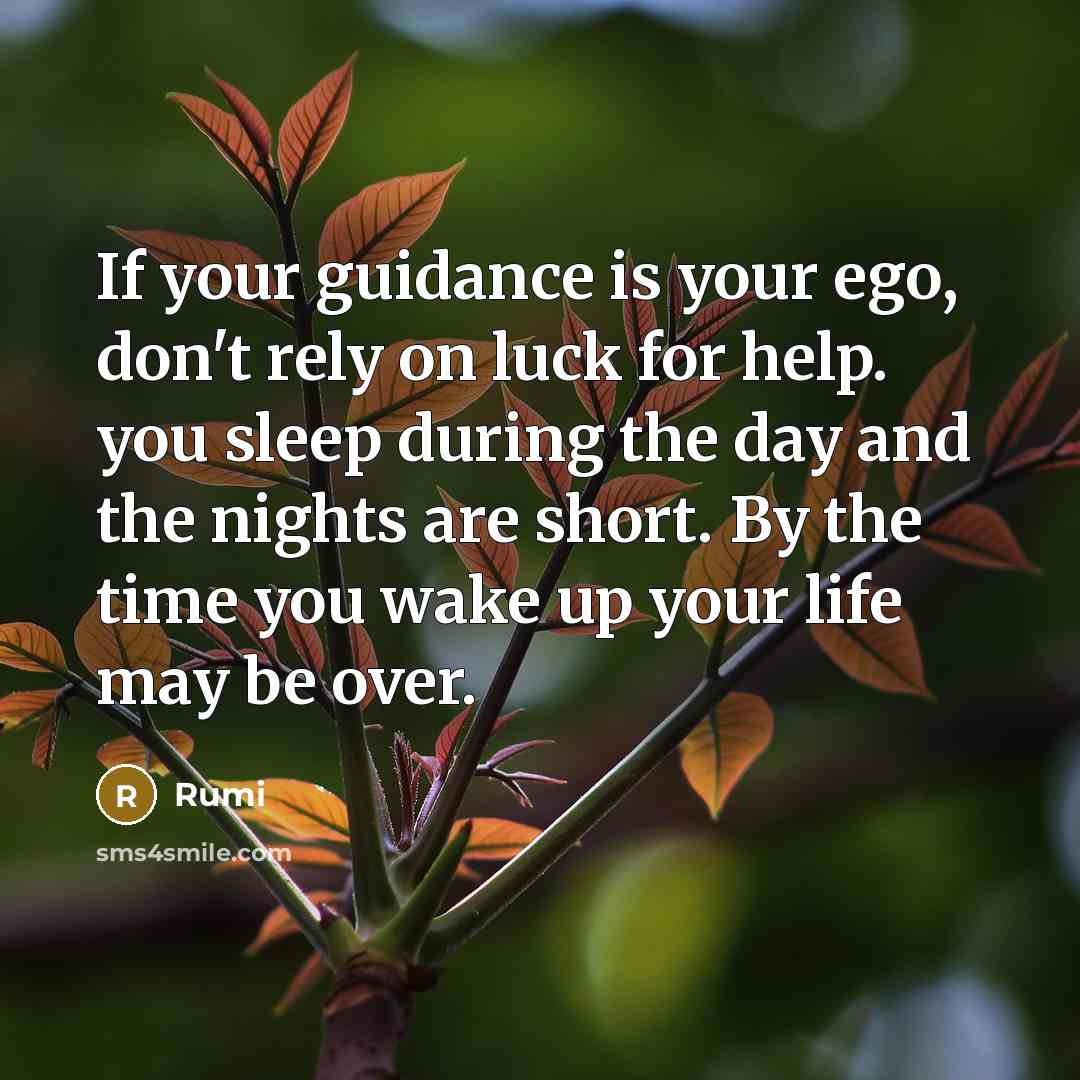 “If your guidance is your ego, don't rely on luck for help. you sleep during the day and the nights are short. By the time you wake up your life may be over.” quote by Rumi