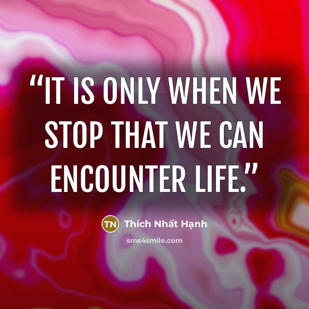 “It is only when we stop that we can encounter life.” quote by Thich Nhat Hanh