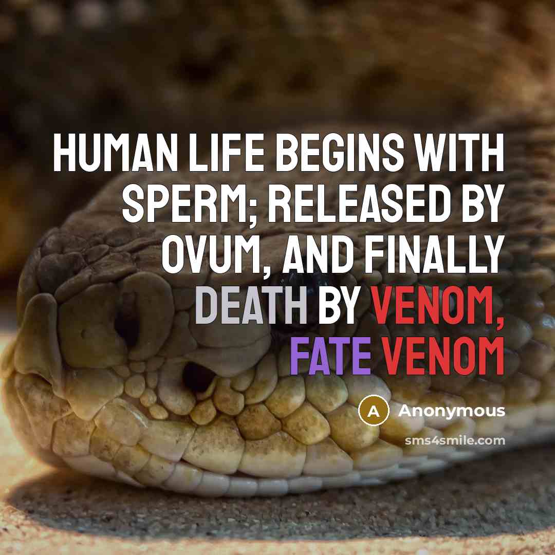 “Human life begins with sperm; released by ovum, and finally death by venom, Fate venom” quote by Anonymous