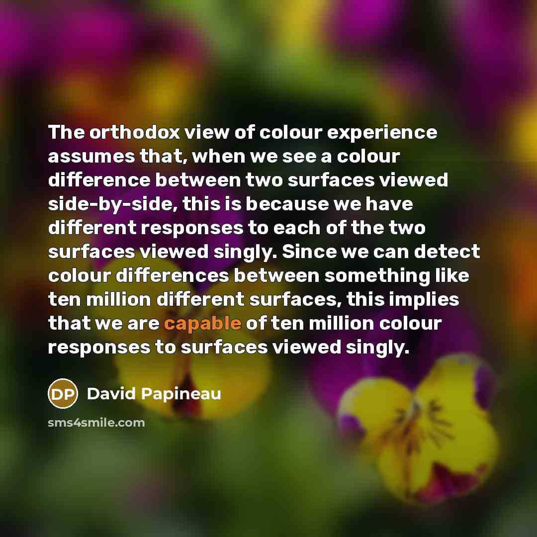 “The orthodox view of colour experience assumes that, when we see a colour difference between two surfaces viewed side-by-side, this is because we have different responses to each of the two surfaces viewed singly. Since we can detect colour differences between something like ten million different…” quote by David Papineau