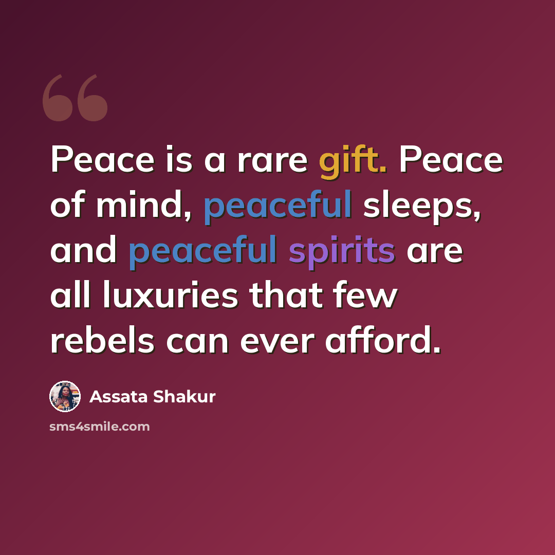 “Peace is a rare gift. Peace of mind, peaceful sleeps, and peaceful spirits are all luxuries that few rebels can ever afford.” quote by Assata Shakur