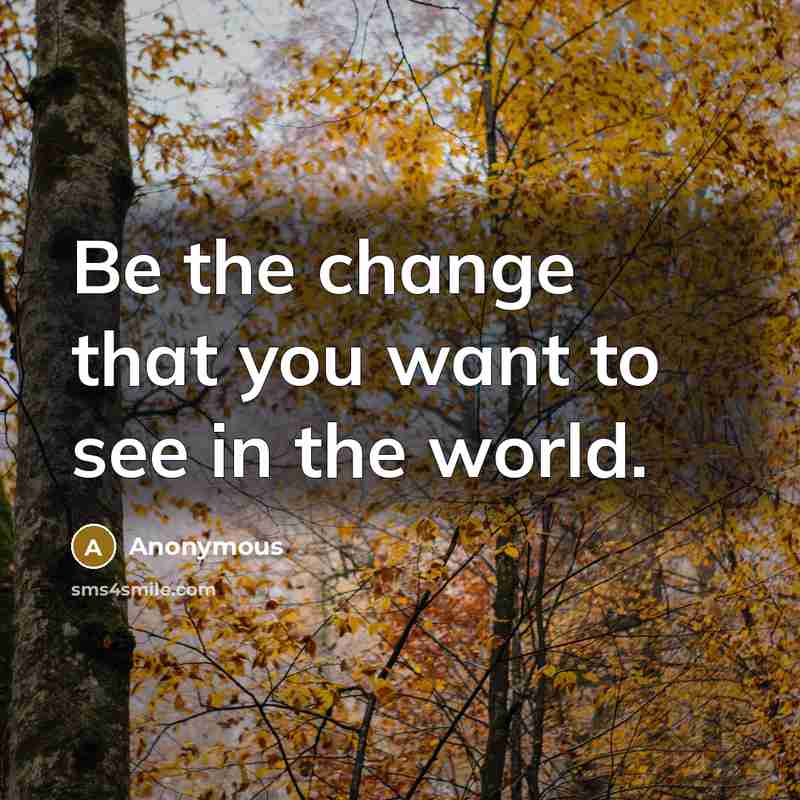 “Be the change that you want to see in the world.” quote by Anonymous