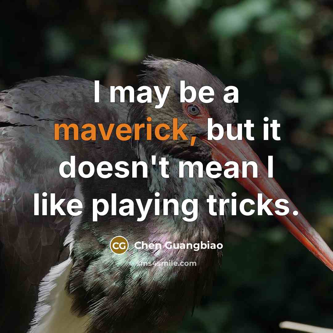 “I may be a maverick, but it doesn't mean I like playing tricks.” quote by Chen Guangbiao