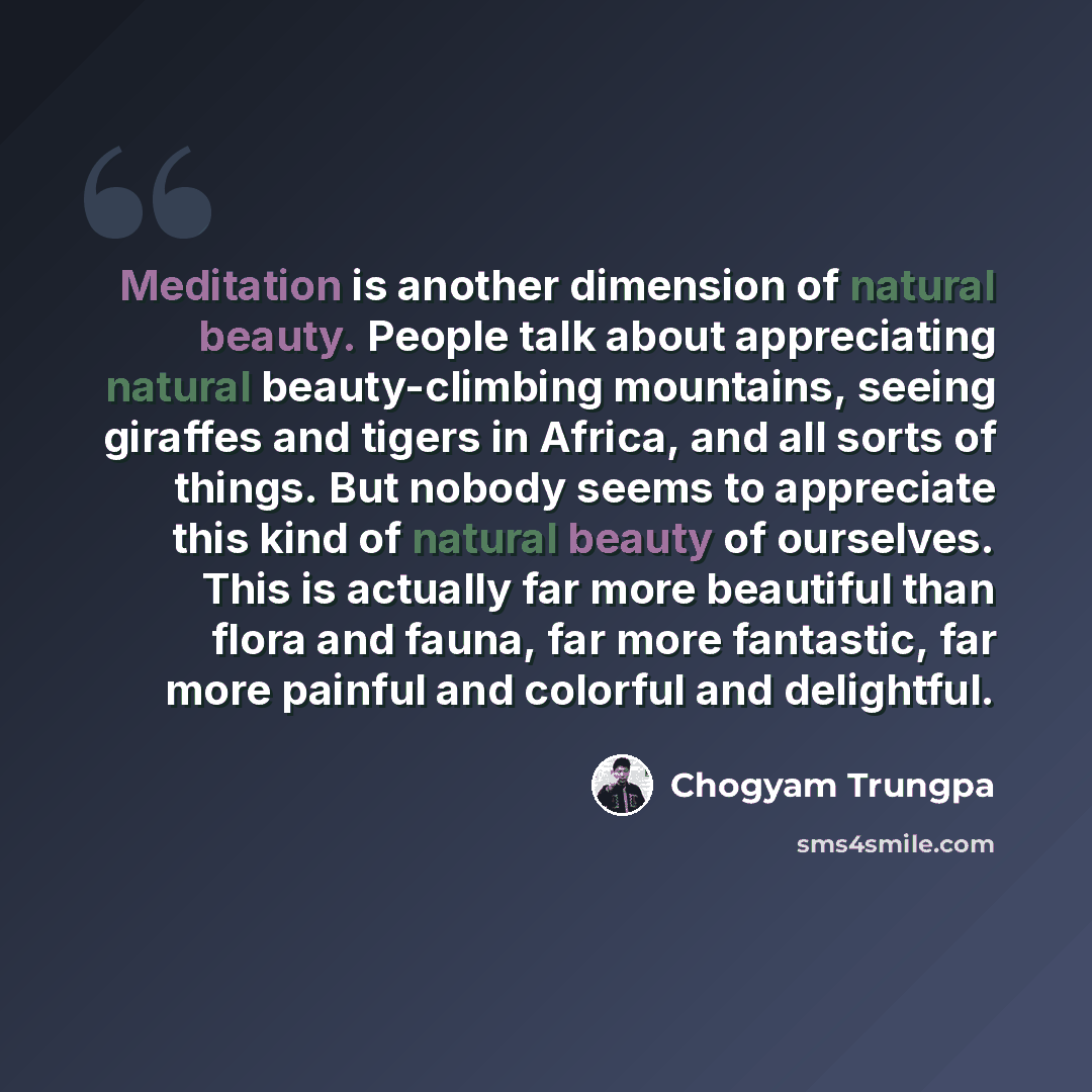 “Meditation is another dimension of natural beauty. People talk about appreciating natural beauty-climbing mountains, seeing giraffes and tigers in Africa, and all sorts of things. But nobody seems to appreciate this kind of natural beauty of ourselves. This is actually far more beautiful than…” quote by Chogyam Trungpa