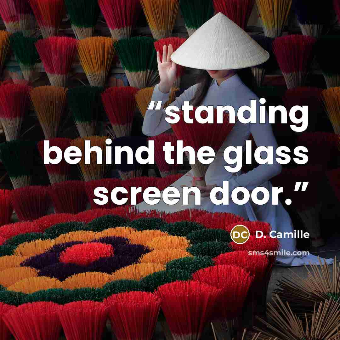 “standing behind the glass screen door.” quote by D. Camille
