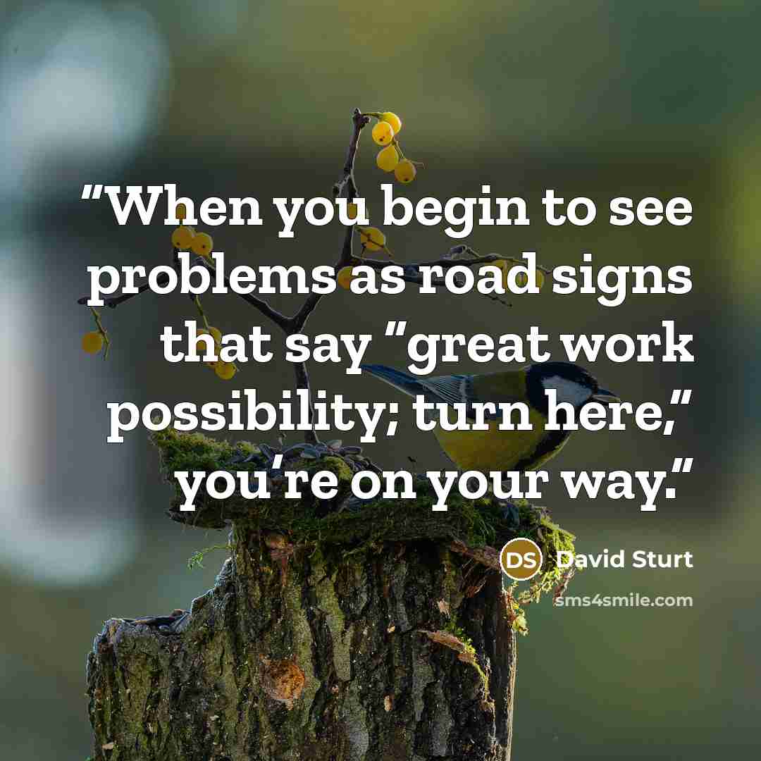 “When you begin to see problems as road signs that say “great work possibility; turn here,” you’re on your way.” quote by David Sturt