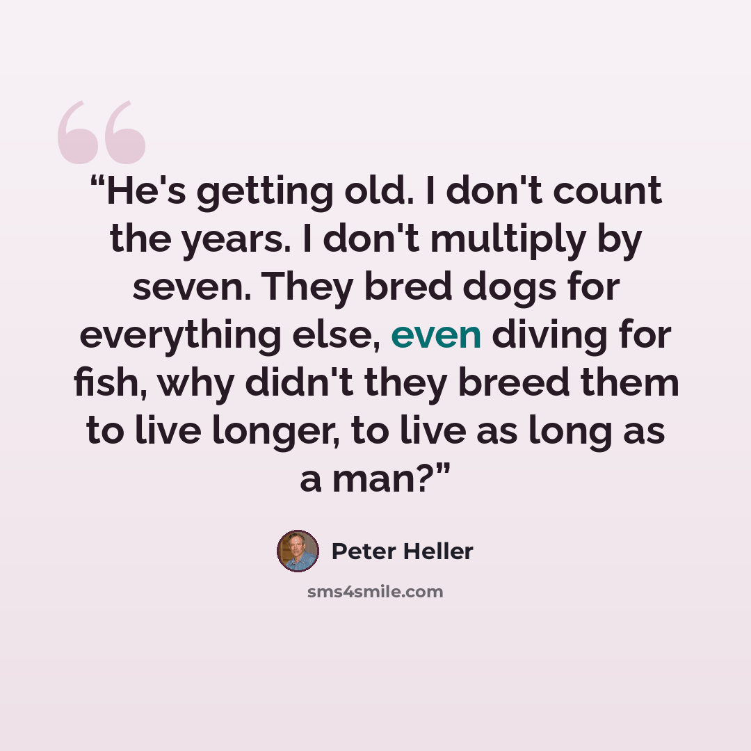 “He's getting old. I don't count the years. I don't multiply by seven. They bred dogs for everything else, even diving for fish, why didn't they breed them to live longer, to live as long as a man?” quote by Peter Heller