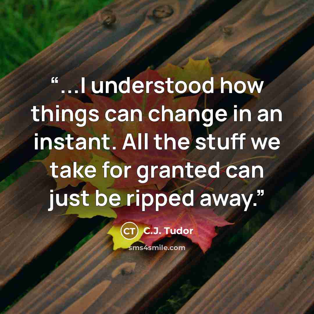 “...I understood how things can change in an instant. All the stuff we take for granted can just be ripped away.” quote by C.J. Tudor