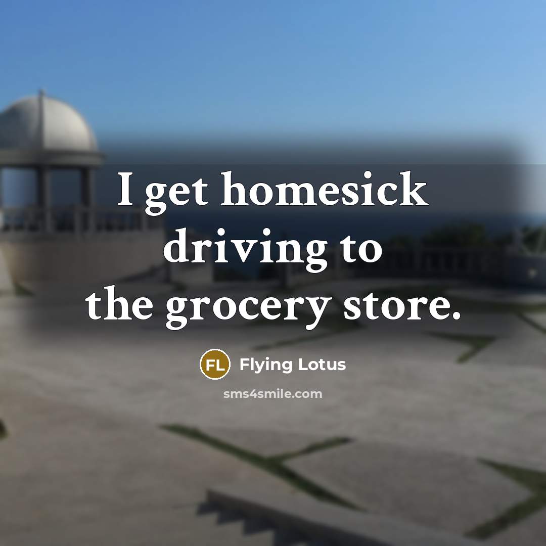 “I get homesick driving to the grocery store.” quote by Flying Lotus