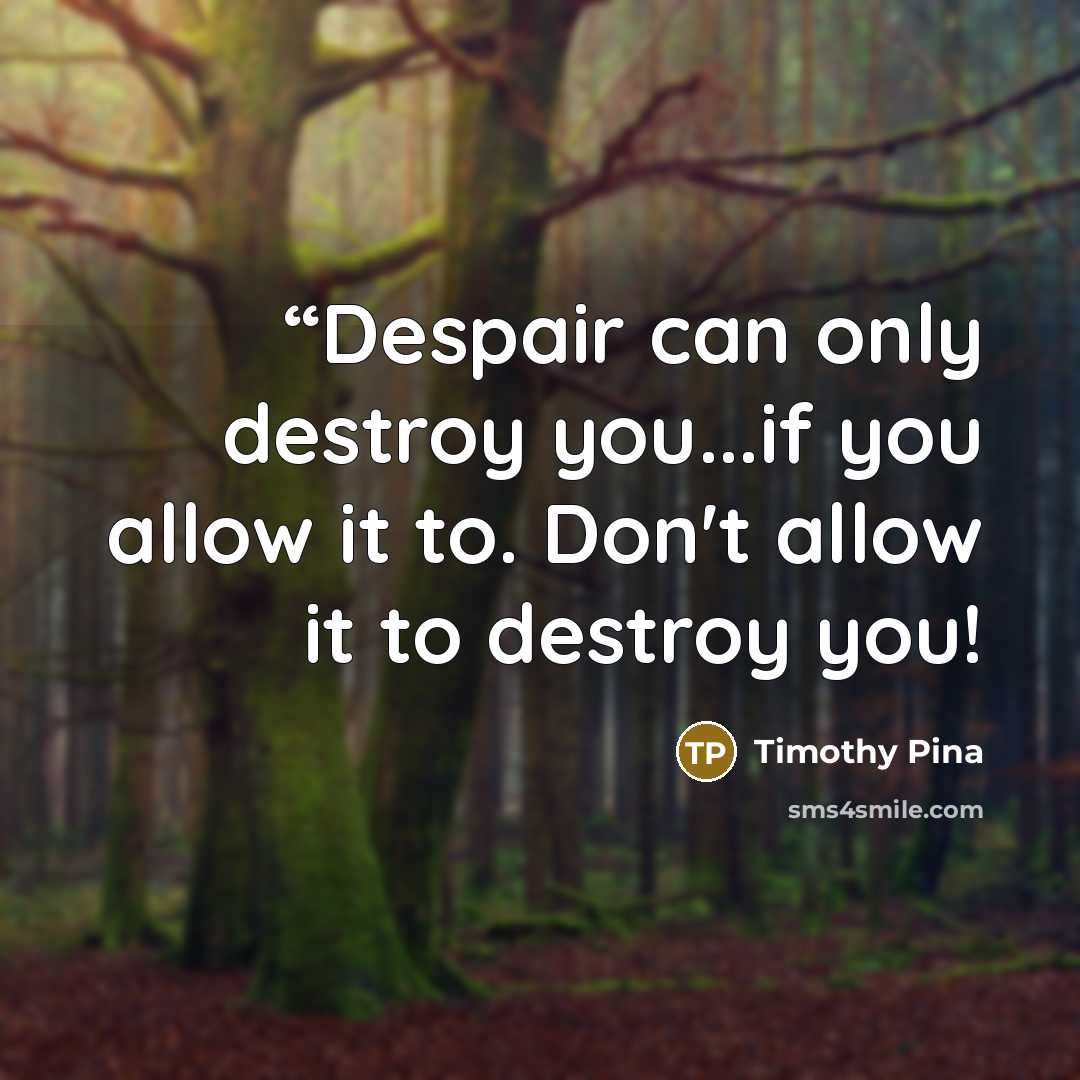 ““Despair can only destroy you...if you allow it to. Don't allow it to destroy you!” quote by Timothy Pina