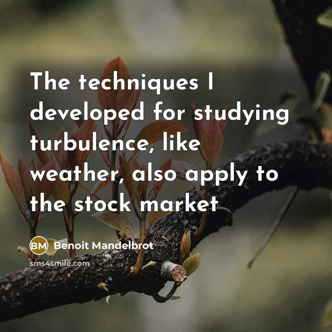 “The techniques I developed for studying turbulence, like weather, also apply to the stock market” quote by Benoit Mandelbrot