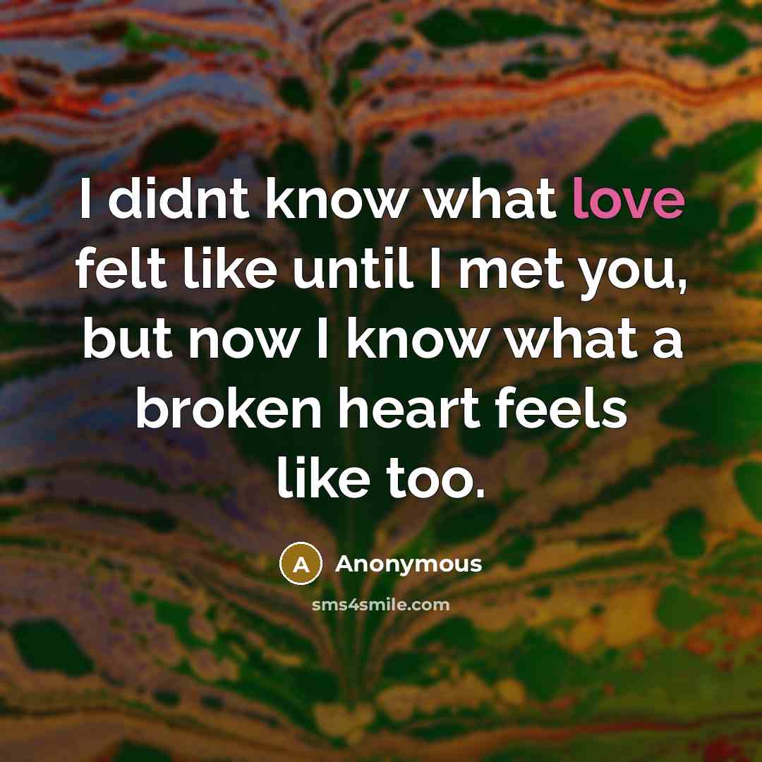 “I didnt know what love felt like until I met you, but now I know what a broken heart feels like too.” quote by Anonymous