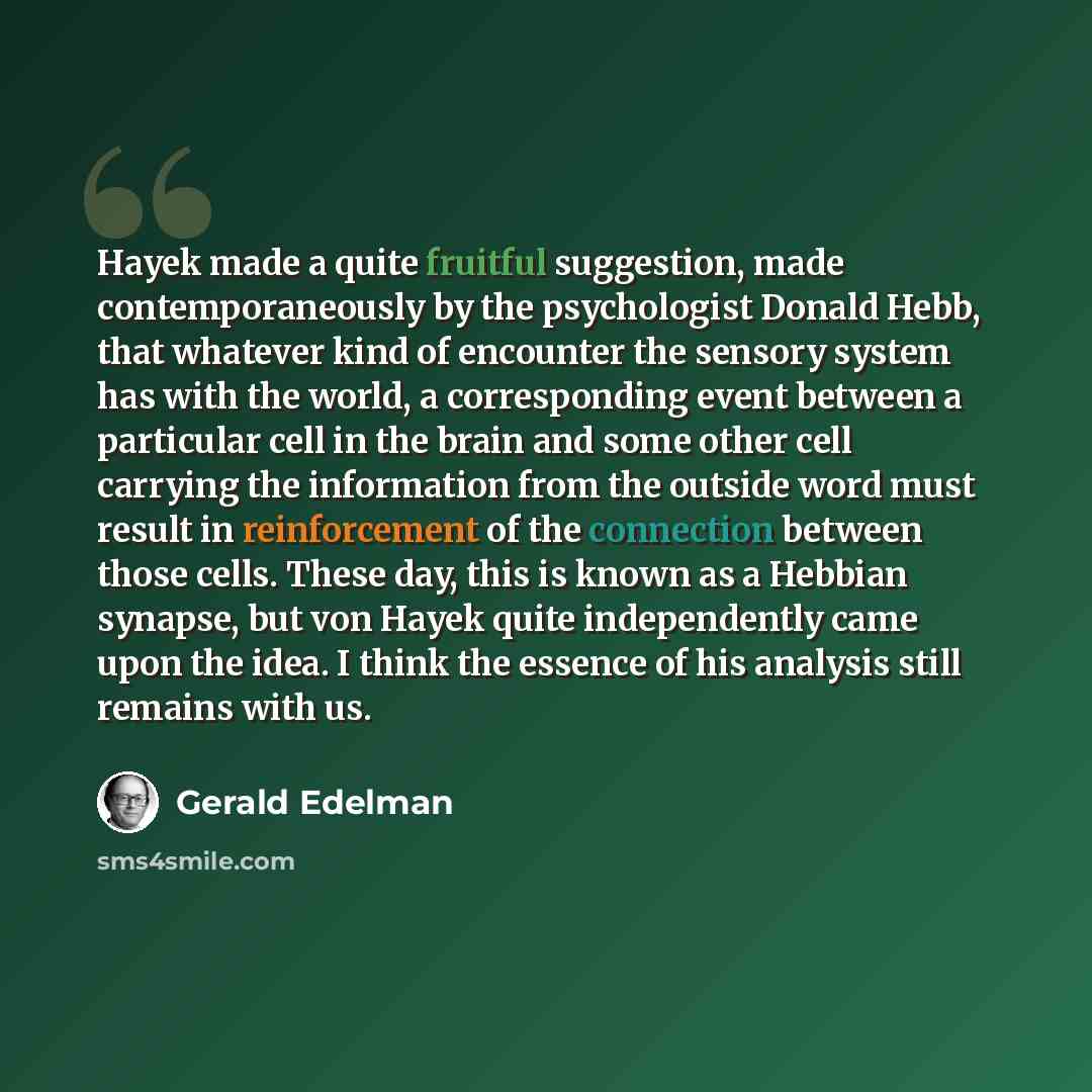 “Hayek made a quite fruitful suggestion, made contemporaneously by the psychologist Donald Hebb, that whatever kind of encounter the sensory system has with the world, a corresponding event between a particular cell in the brain and some other cell carrying the information from the outside word…” quote by Gerald Edelman