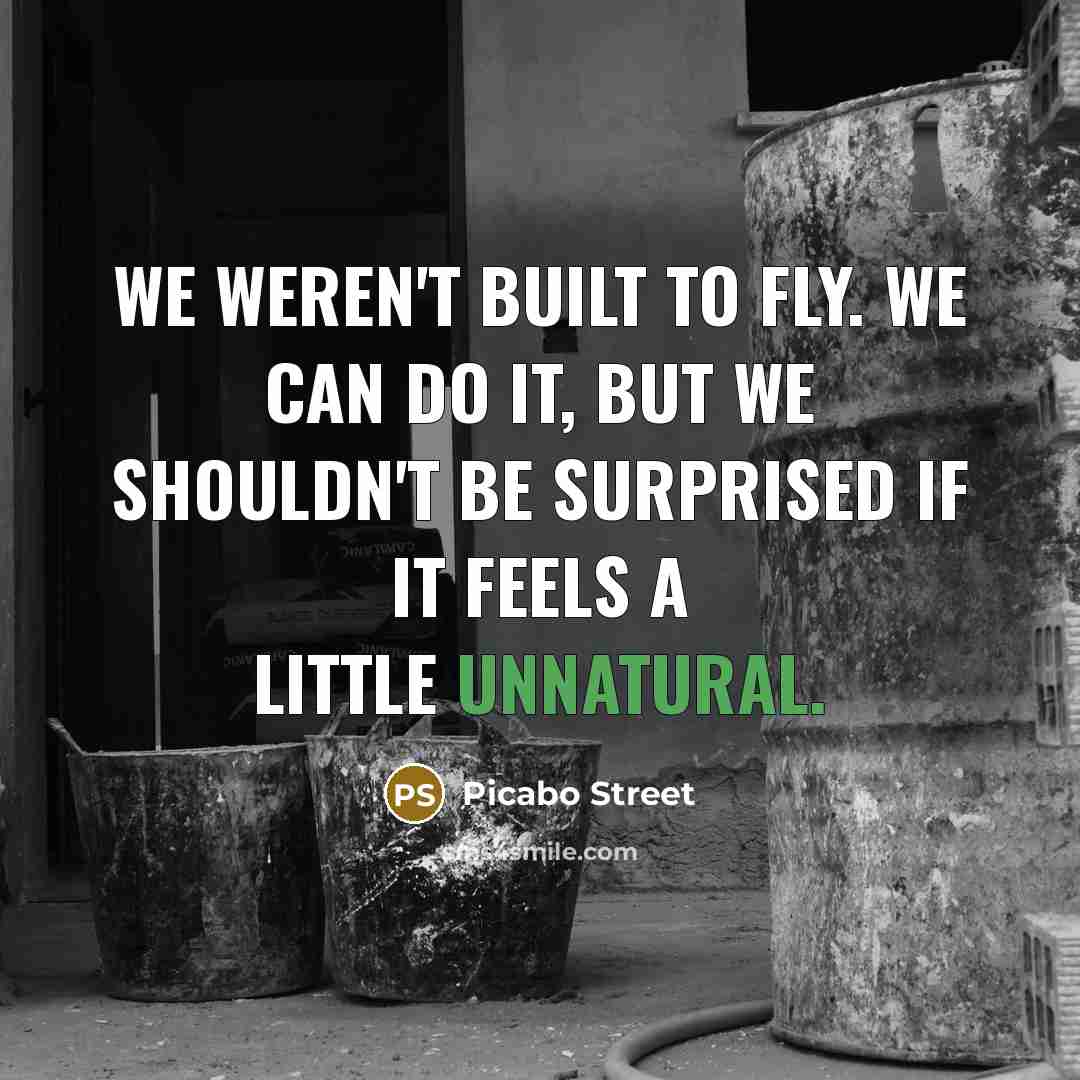 “We weren't built to fly. We can do it, but we shouldn't be surprised if it feels a little unnatural.” quote by Picabo Street