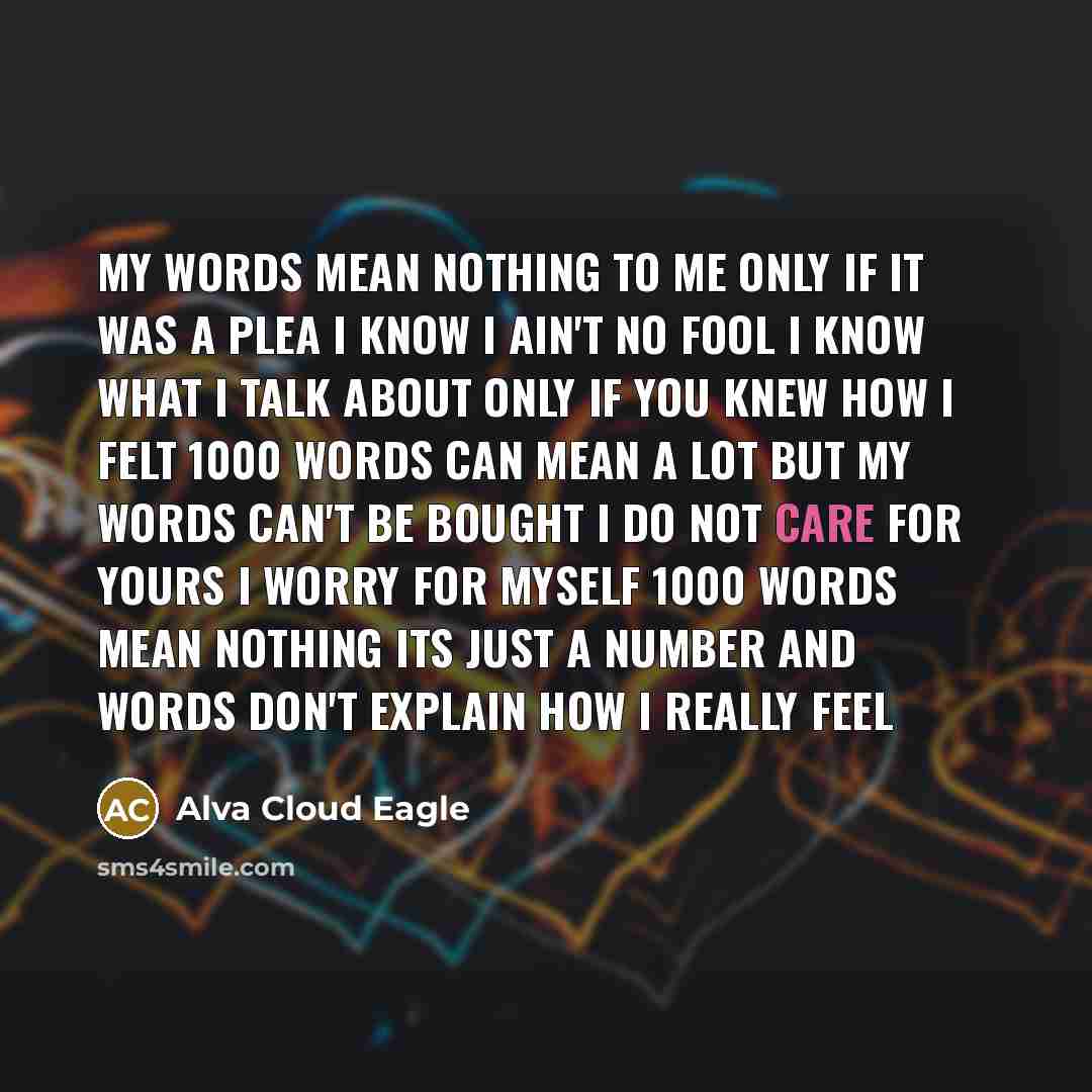 “My words mean nothing to me only if it was a plea I know I ain't no fool I know what I talk about only if you knew how I felt 1000 words can mean a lot but my words can't be bought I do not care for yours I worry for myself 1000 words mean nothing its just a number and words don't explain how I…” quote by Alva Cloud Eagle