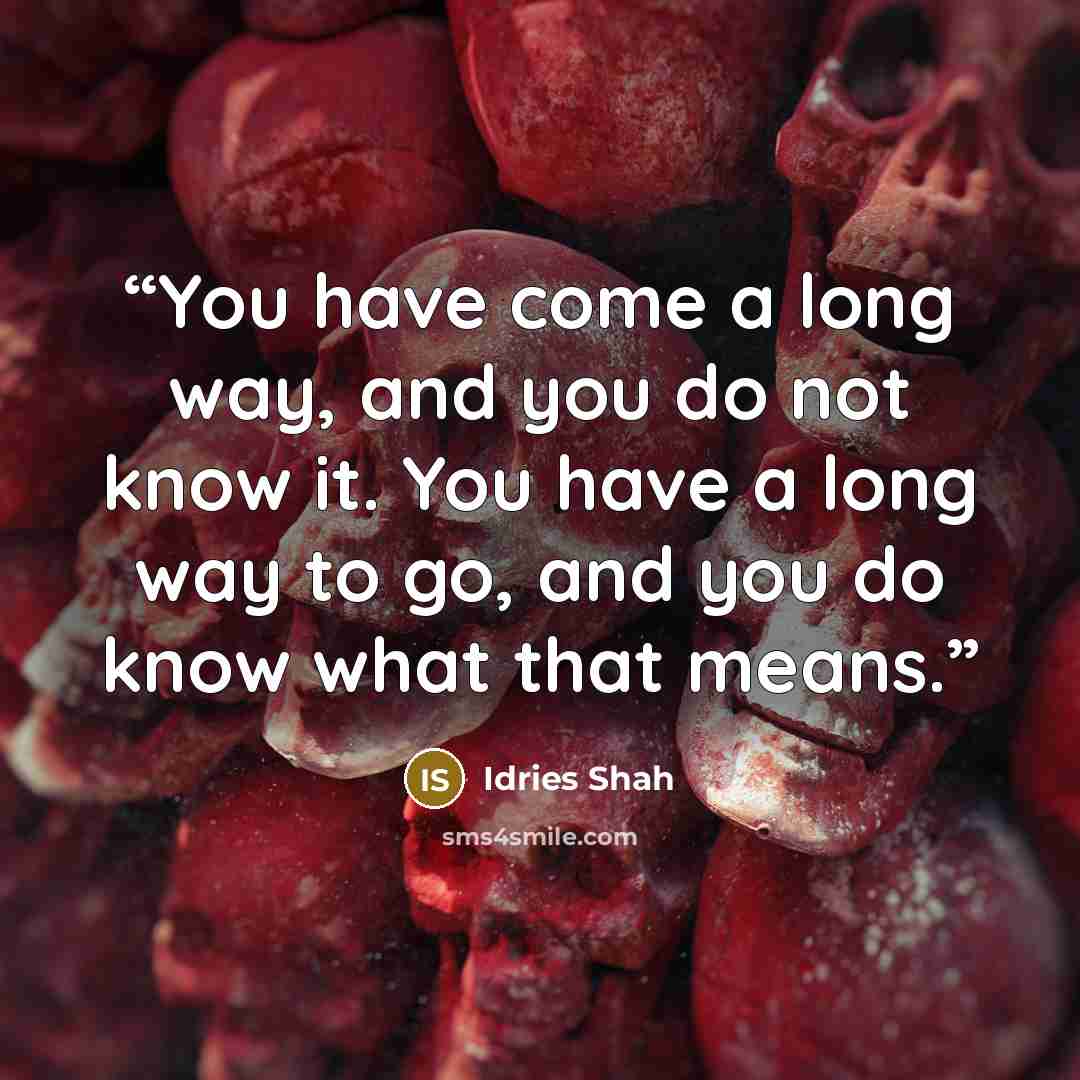 “You have come a long way, and you do not know it. You have a long way to go, and you do know what that means.” quote by Idries Shah