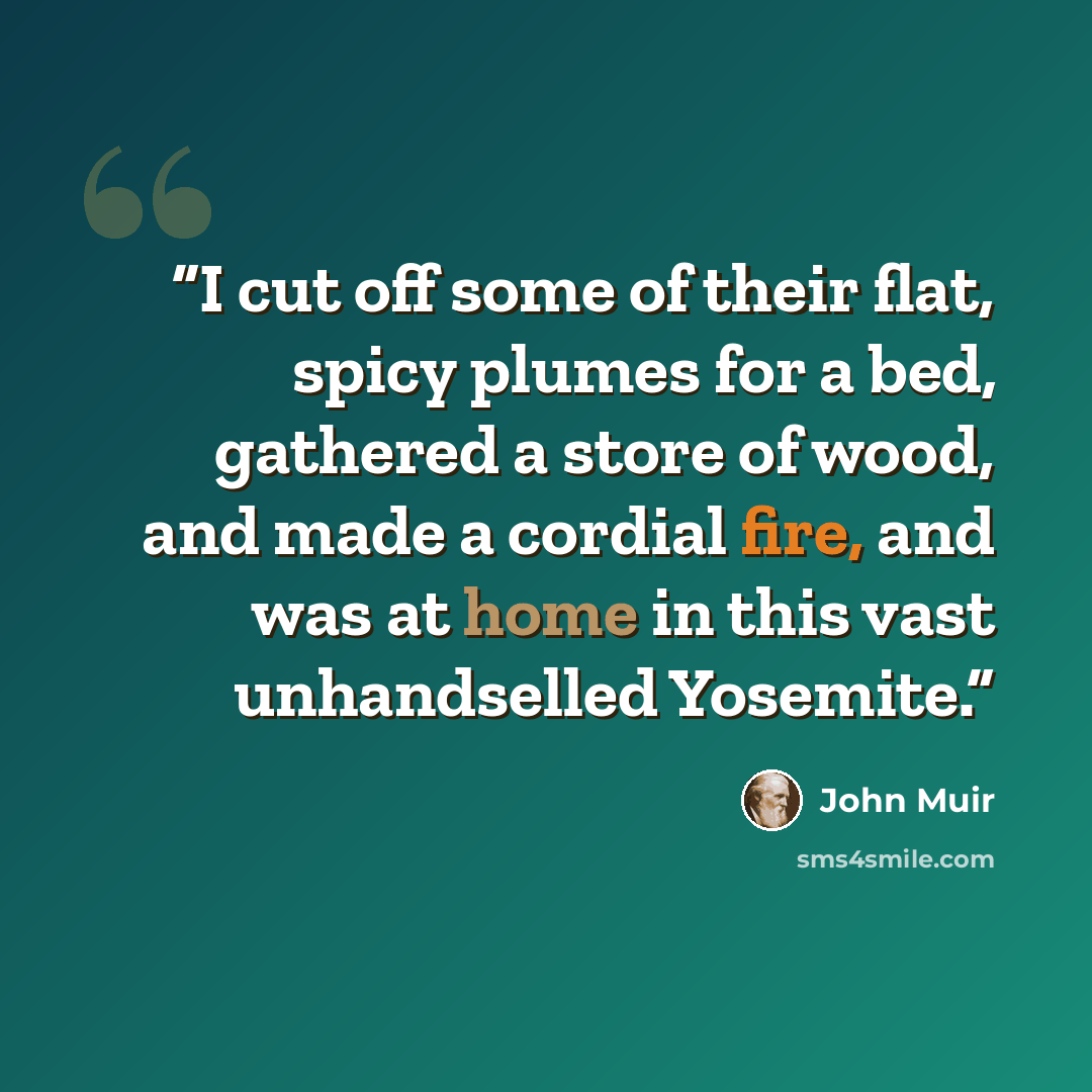 “I cut off some of their flat, spicy plumes for a bed, gathered a store of wood, and made a cordial fire, and was at home in this vast unhandselled Yosemite.” quote by John Muir