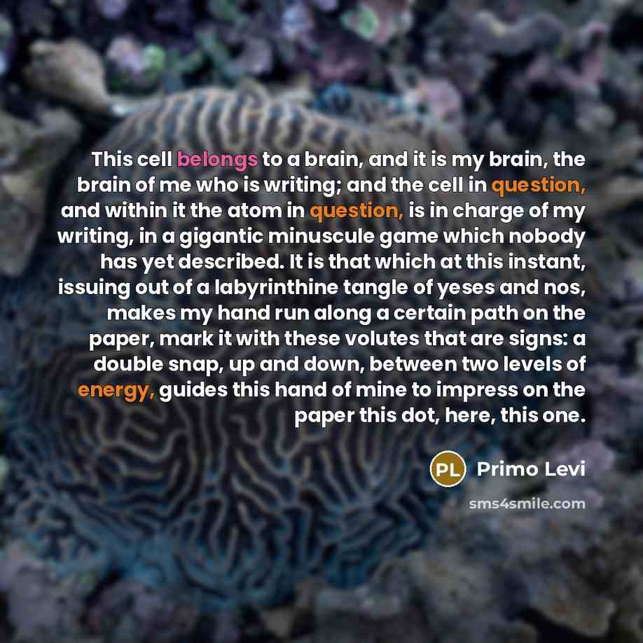 “This cell belongs to a brain, and it is my brain, the brain of me who is writing; and the cell in question, and within it the atom in question, is in charge of my writing, in a gigantic minuscule game which nobody has yet described. It is that which at this instant, issuing out of a labyrinthine…” quote by Primo Levi