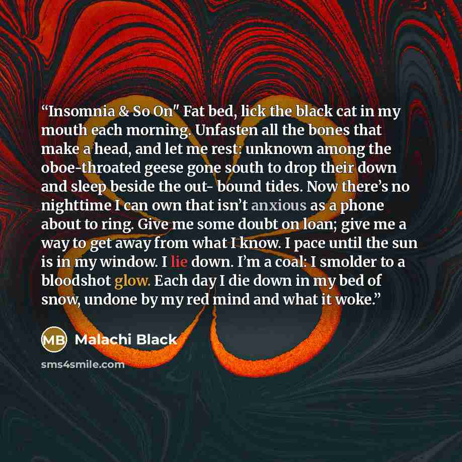 “Insomnia & So On" Fat bed, lick the black cat in my mouth each morning. Unfasten all the bones that make a head, and let me rest: unknown among the oboe-throated geese gone south to drop their down and sleep beside the out- bound tides. Now there’s no nighttime I can own that isn’t anxious as a…” quote by Malachi Black