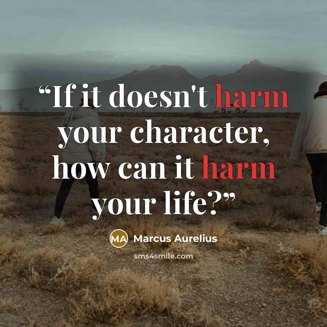 “If it doesn't harm your character, how can it harm your life?” quote by Marcus Aurelius
