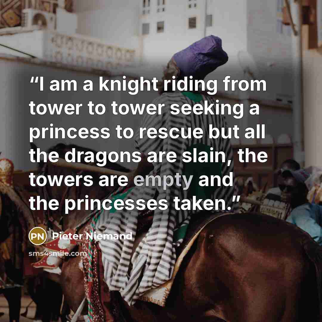 “I am a knight riding from tower to tower seeking a princess to rescue but all the dragons are slain, the towers are empty and the princesses taken.” quote by Pieter Niemand