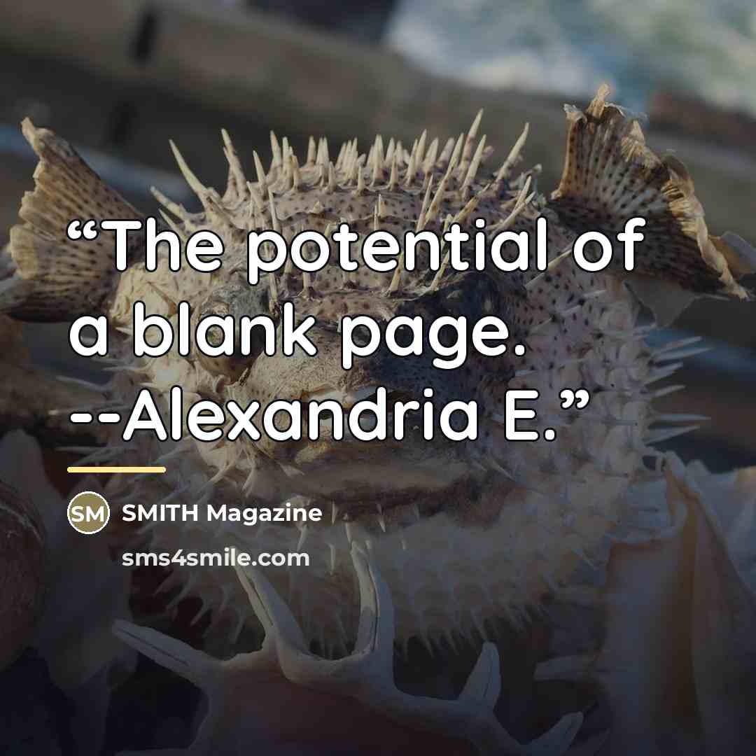 “The potential of a blank page. --Alexandria E.” quote by SMITH Magazine