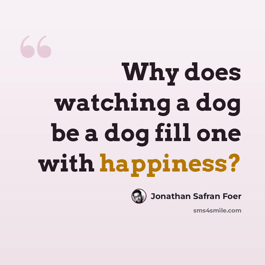 “Why does watching a dog be a dog fill one with happiness?” quote by Jonathan Safran Foer