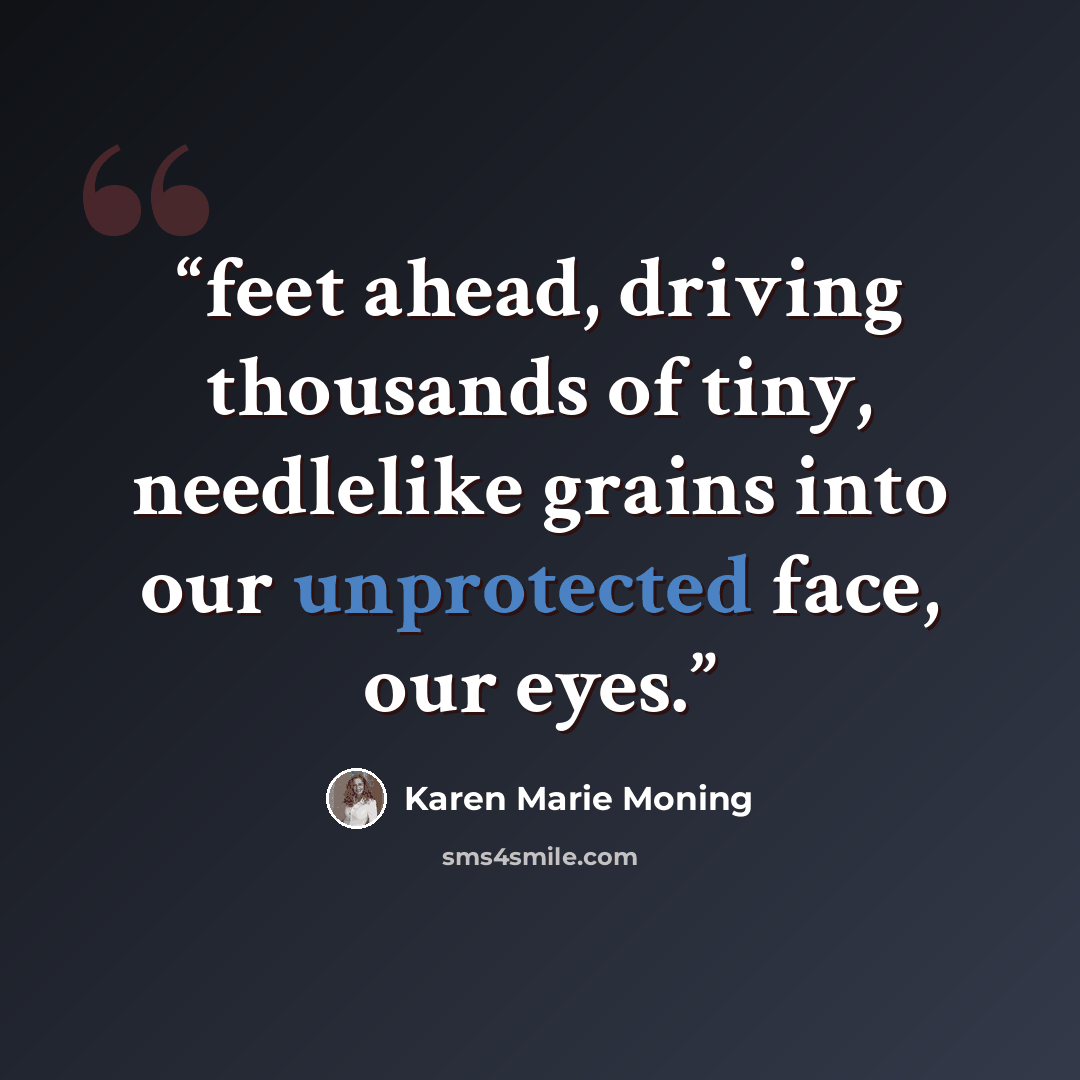 “feet ahead, driving thousands of tiny, needlelike grains into our unprotected face, our eyes.” quote by Karen Marie Moning