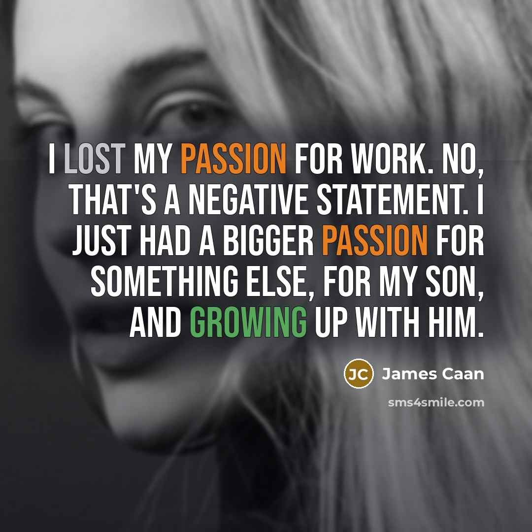 “I lost my passion for work. No, that's a negative statement. I just had a bigger passion for something else, for my son, and growing up with him.” quote by James Caan