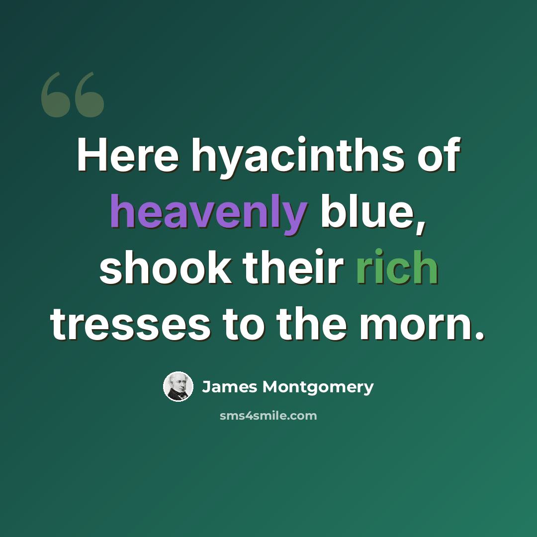 “Here hyacinths of heavenly blue, shook their rich tresses to the morn.” quote by James Montgomery