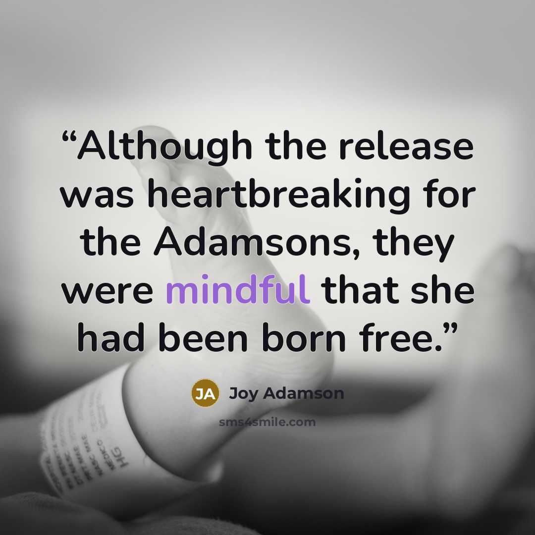 “Although the release was heartbreaking for the Adamsons, they were mindful that she had been born free.” quote by Joy Adamson