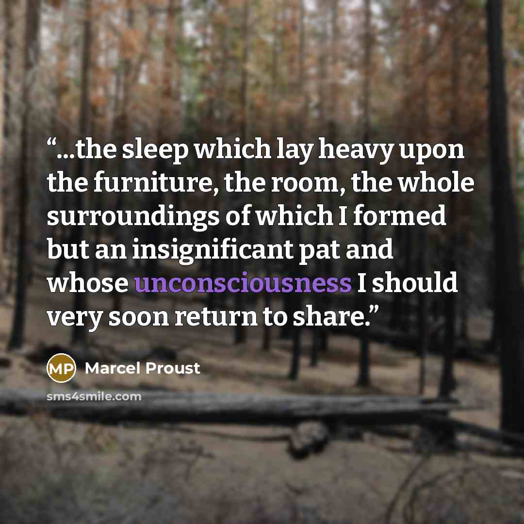 “...the sleep which lay heavy upon the furniture, the room, the whole surroundings of which I formed but an insignificant pat and whose unconsciousness I should very soon return to share.” quote by Marcel Proust