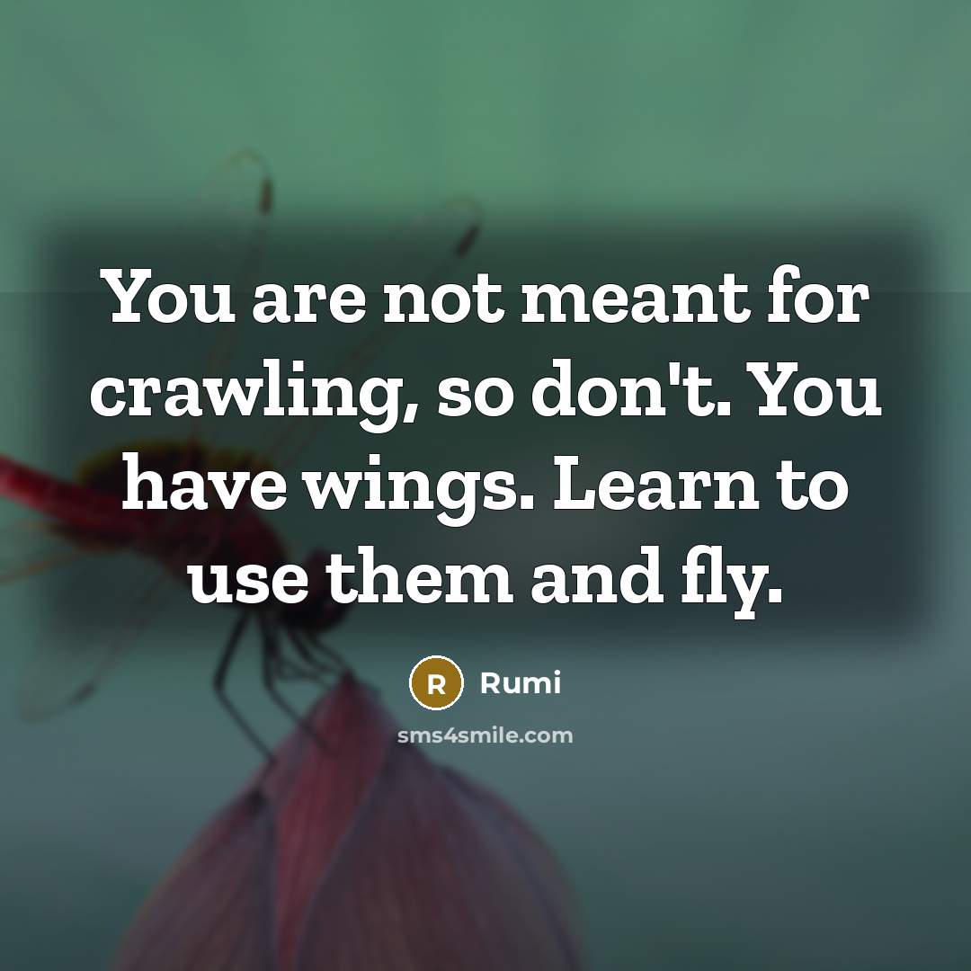 “You are not meant for crawling, so don't. You have wings. Learn to use them and fly.” quote by Rumi