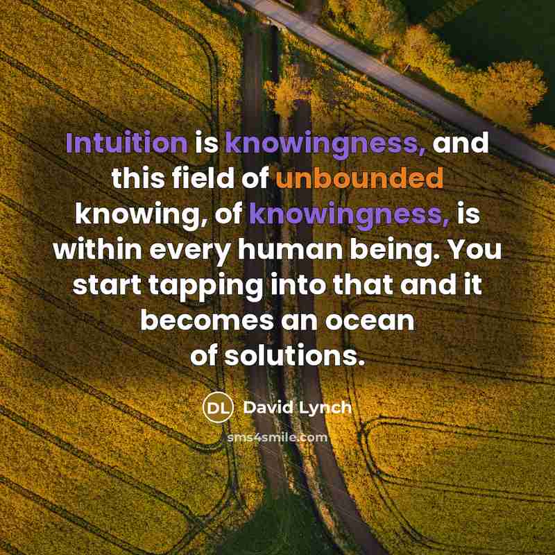 “Intuition is knowingness, and this field of unbounded knowing, of knowingness, is within every human being. You start tapping into that and it becomes an ocean of solutions.” quote by David Lynch