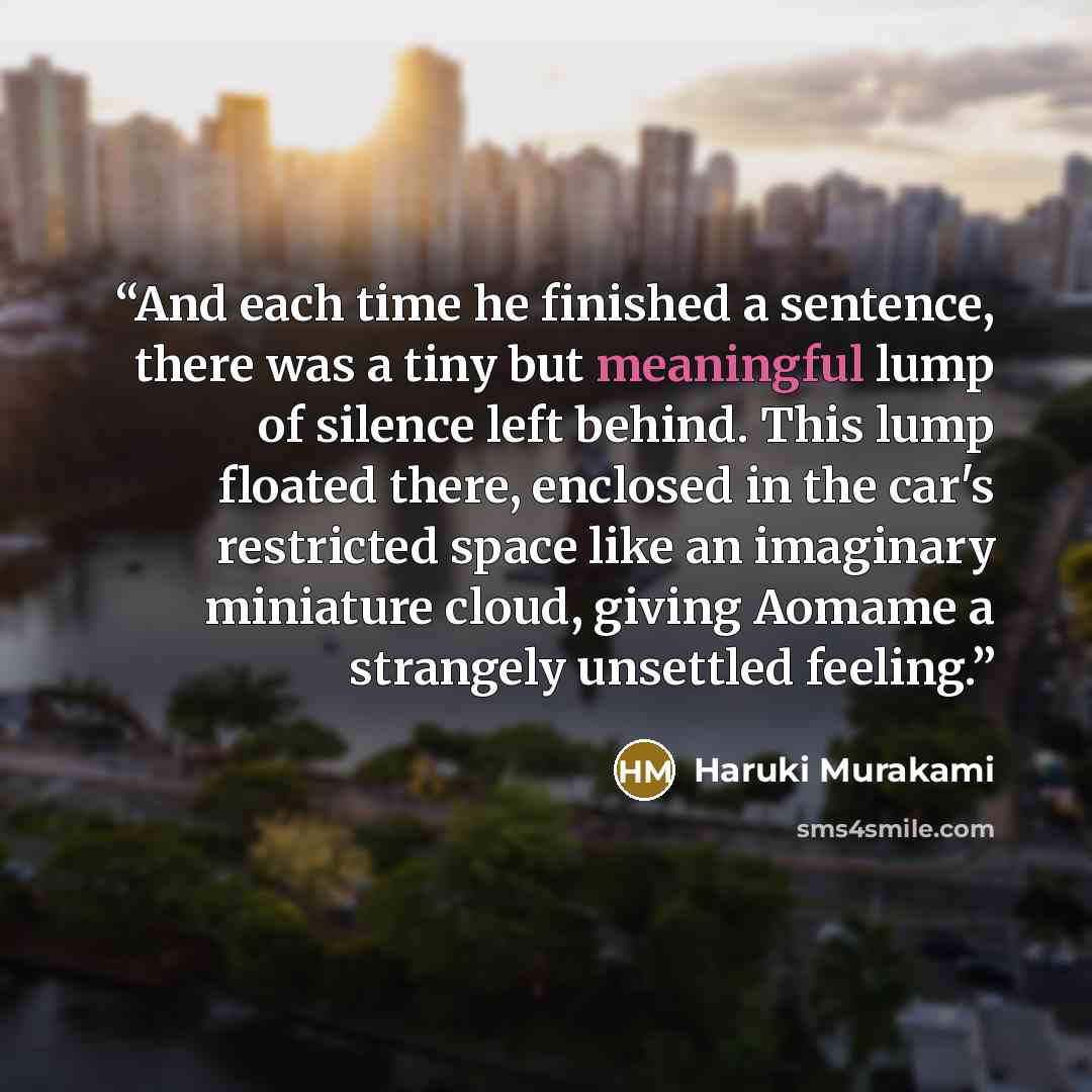 “And each time he finished a sentence, there was a tiny but meaningful lump of silence left behind. This lump floated there, enclosed in the car's restricted space like an imaginary miniature cloud, giving Aomame a strangely unsettled feeling.” quote by Haruki Murakami