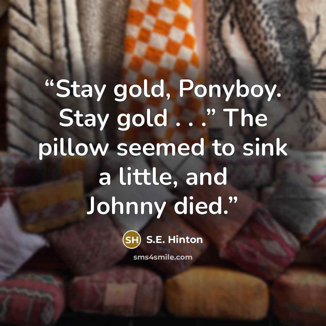 “Stay gold, Ponyboy. Stay gold . . .” The pillow seemed to sink a little, and Johnny died.” quote by S.E. Hinton