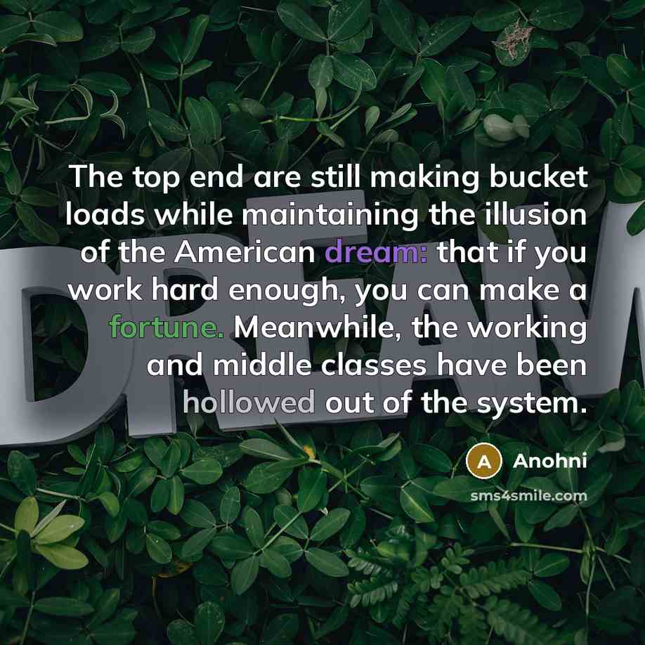 “The top end are still making bucket loads while maintaining the illusion of the American dream: that if you work hard enough, you can make a fortune. Meanwhile, the working and middle classes have been hollowed out of the system.” quote by Anohni