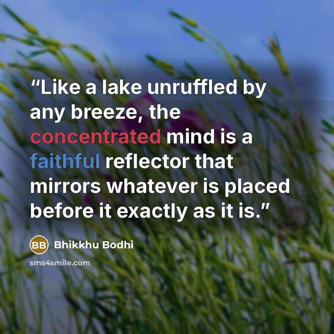 “Like a lake unruffled by any breeze, the concentrated mind is a faithful reflector that mirrors whatever is placed before it exactly as it is.” quote by Bhikkhu Bodhi