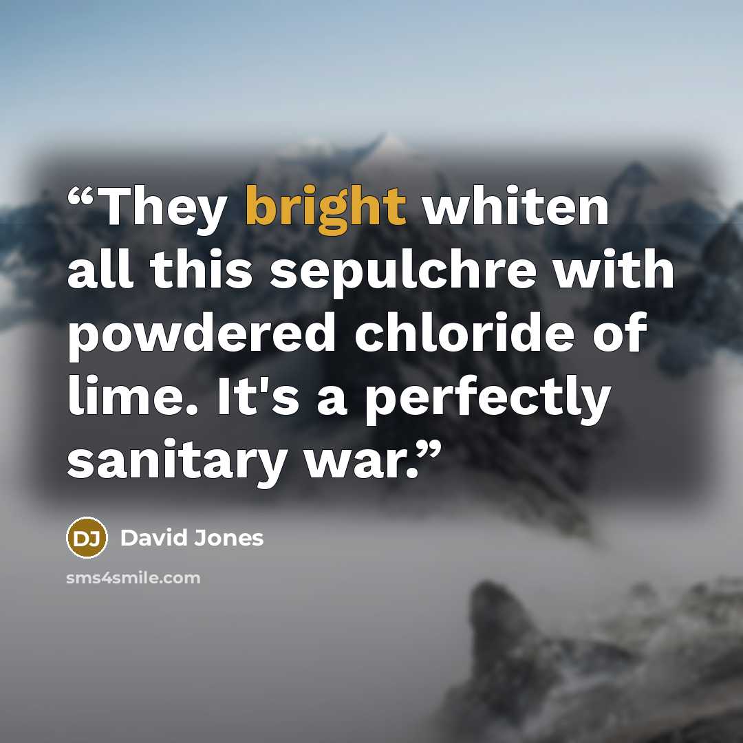“They bright whiten all this sepulchre with powdered chloride of lime. It's a perfectly sanitary war.” quote by David Jones