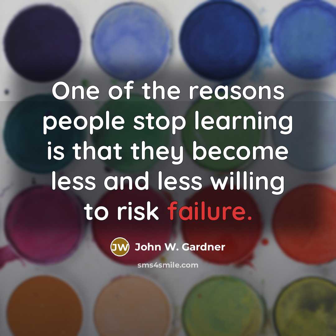 “One of the reasons people stop learning is that they become less and less willing to risk failure.” quote by John W. Gardner