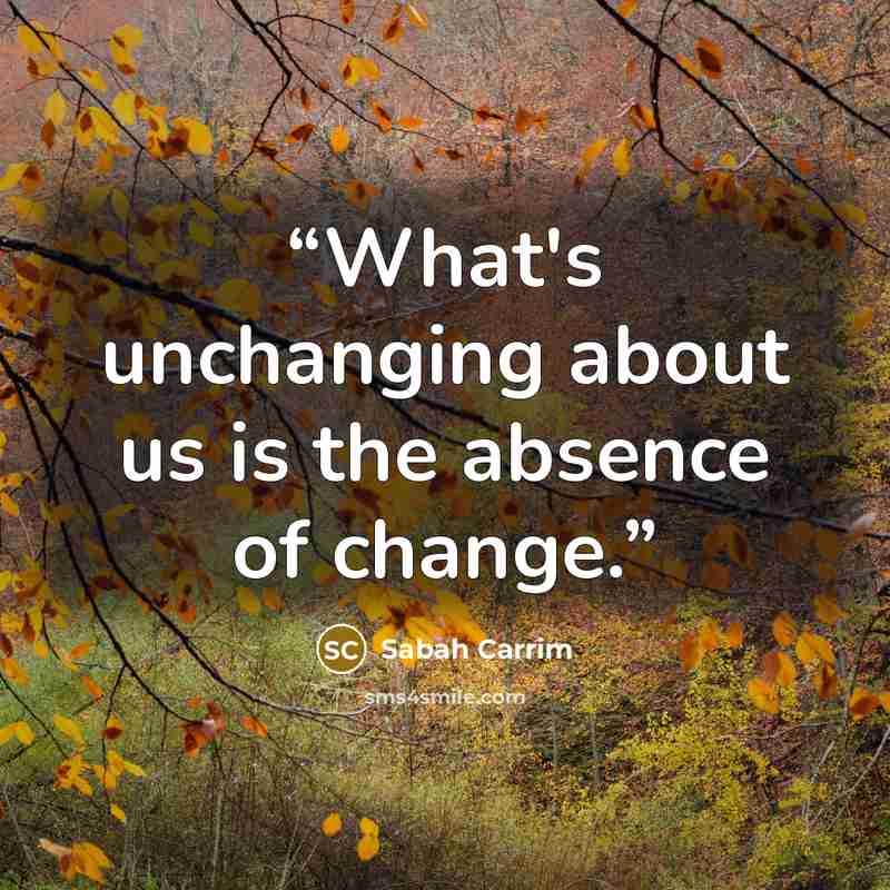 “What's unchanging about us is the absence of change.” quote by Sabah Carrim