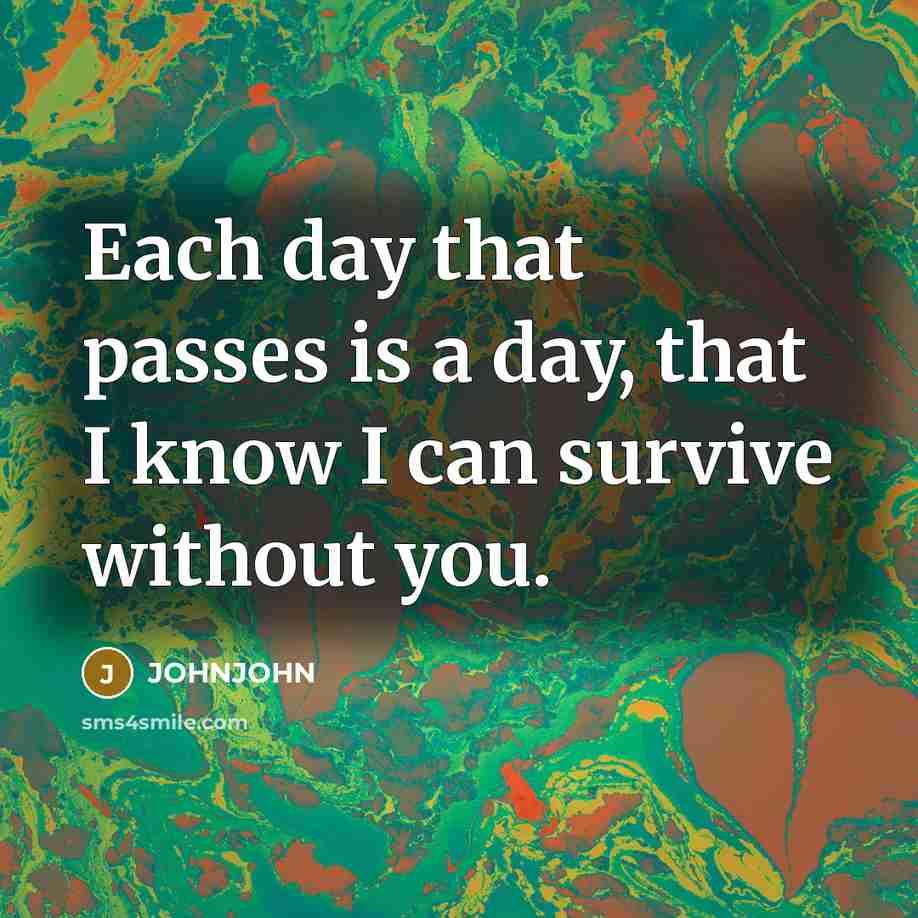 “Each day that passes is a day, that I know I can survive without you.” quote by JOHNJOHN