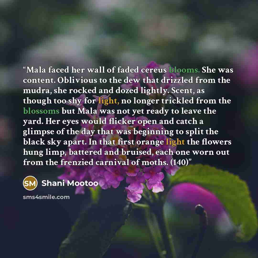 “Mala faced her wall of faded cereus blooms. She was content. Oblivious to the dew that drizzled from the mudra, she rocked and dozed lightly. Scent, as though too shy for light, no longer trickled from the blossoms but Mala was not yet ready to leave the yard. Her eyes would flicker open and catch…” quote by Shani Mootoo