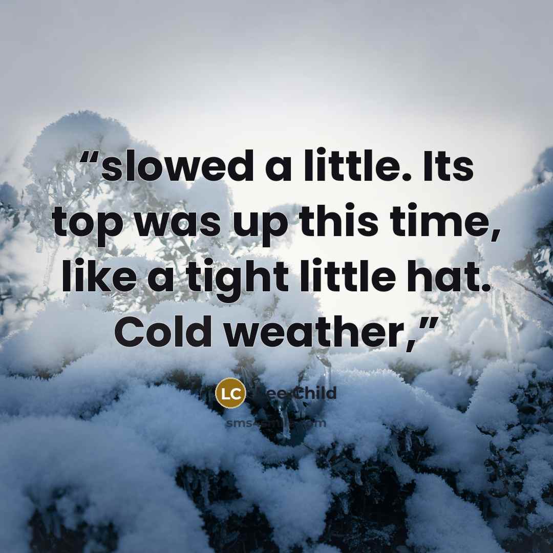 “slowed a little. Its top was up this time, like a tight little hat. Cold weather,” quote by Lee Child