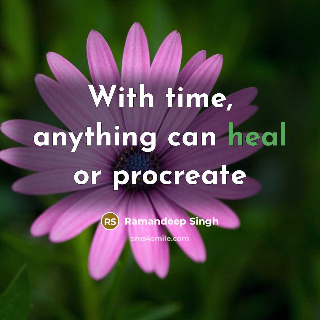 “With time, anything can heal or procreate” quote by Ramandeep Singh