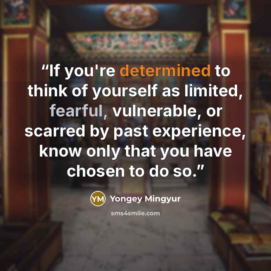 “If you're determined to think of yourself as limited, fearful, vulnerable, or scarred by past experience, know only that you have chosen to do so.” quote by Yongey Mingyur
