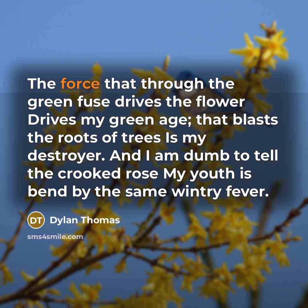 “The force that through the green fuse drives the flower Drives my green age; that blasts the roots of trees Is my destroyer. And I am dumb to tell the crooked rose My youth is bend by the same wintry fever.” quote by Dylan Thomas